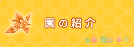 園の紹介