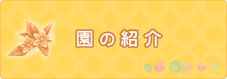園の紹介